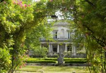 想睁开眼就是满眼的绿色?来看看公园旁的房子吧!