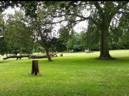 万万没想到!过去1年伦敦房价涨幅最大的地方,竟是这些不起眼的地儿?