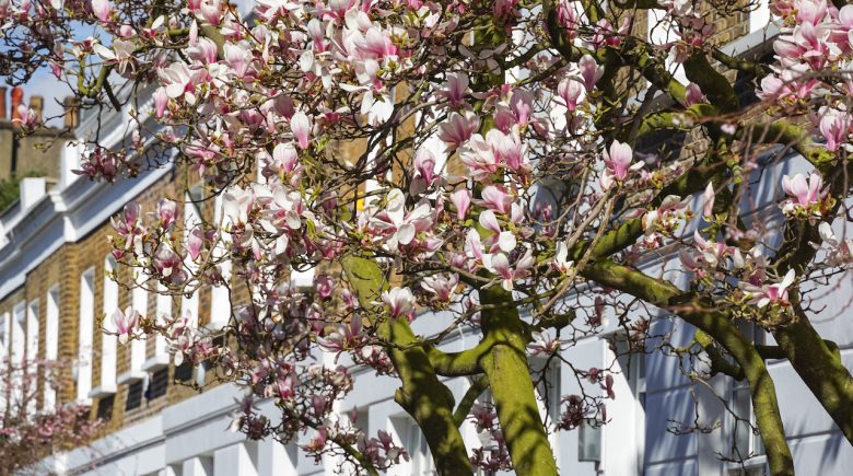 AdobeStock_335610737-780x435.jpeg
