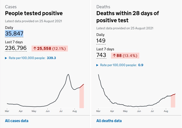 屏幕快照 2021-08-26 上午10.05.30.jpg