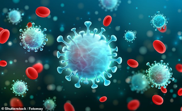 47240019-9937851-coronavirus_variant_first_detected_in_South_Africa_could_be_more-m-9_1630257110577.jpg