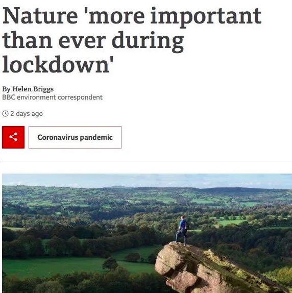 屏幕快照 2021-08-13 上午11.45.25.jpg