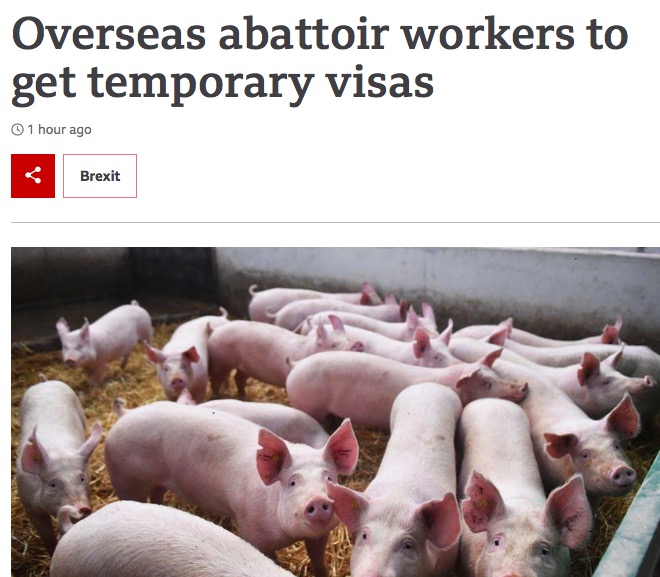 屏幕快照 2021-10-14 下午9.57.21.jpg