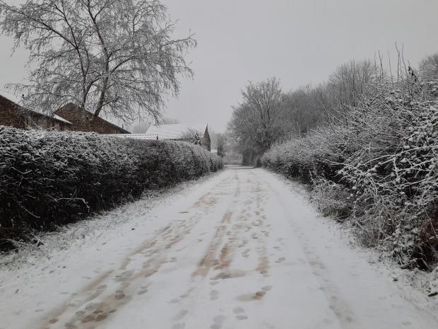 Snow in tad 2.jpg