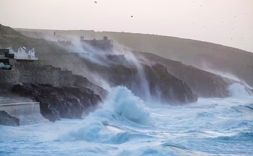 屏幕快照 2022-02-18 上午8.18.56.jpg