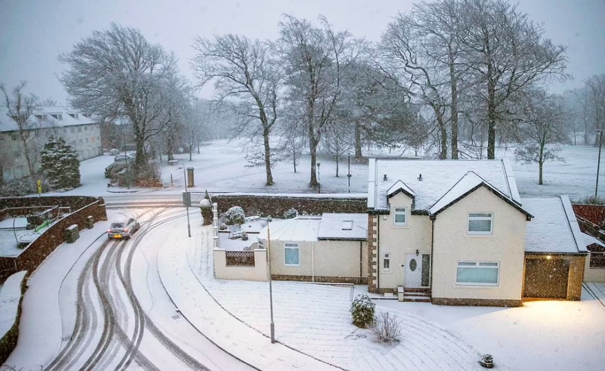 屏幕快照 2022-02-18 上午8.19.38.jpg