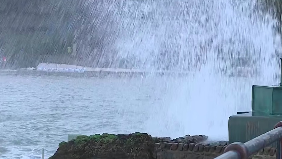 屏幕快照 2022-02-18 上午8.19.03.jpg