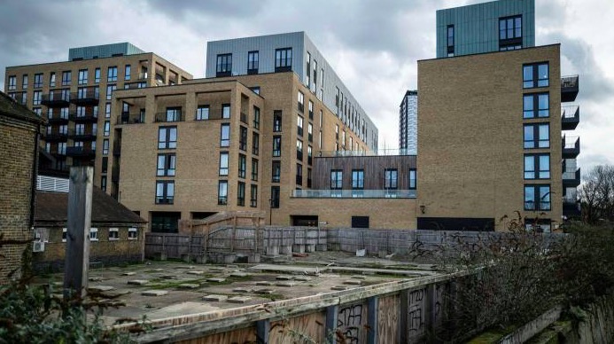 屏幕快照 2022-02-11 下午9.46.54.jpg