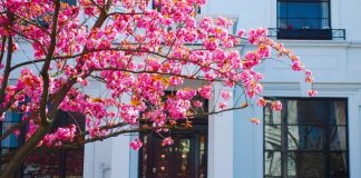 屏幕快照 2022-03-28 上午10.33.23.jpg