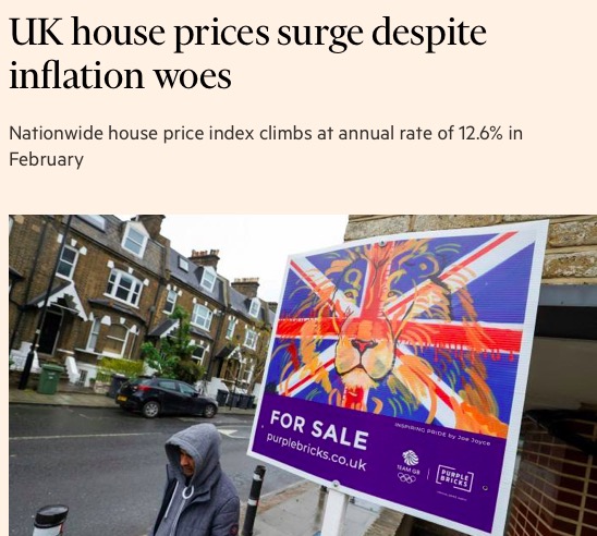 屏幕快照 2022-03-02 上午10.49.16.jpg