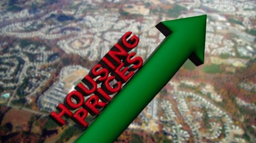 屏幕快照 2022-05-22 下午1.48.15.jpg