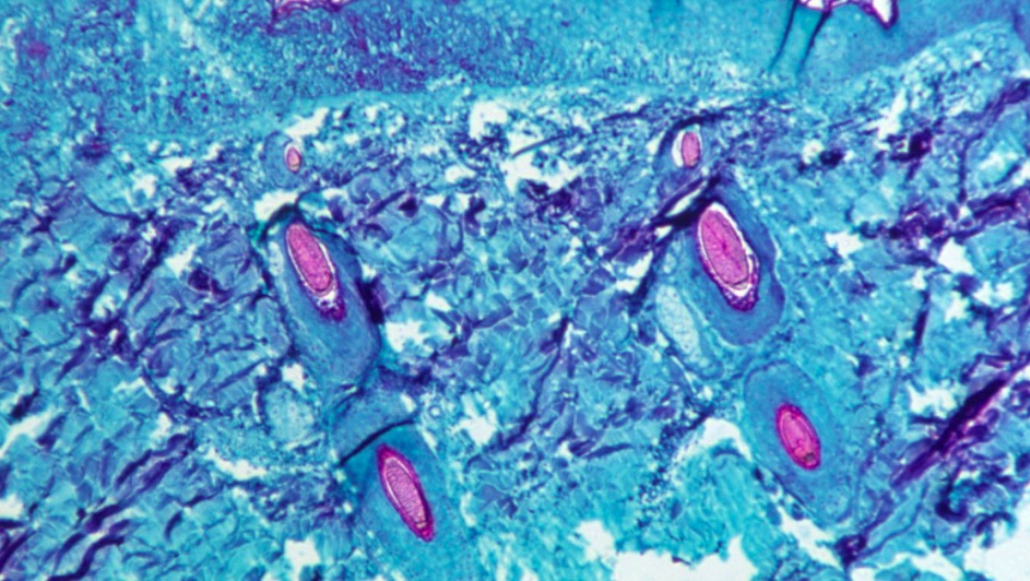 屏幕快照 2022-05-22 下午1.06.27.jpg