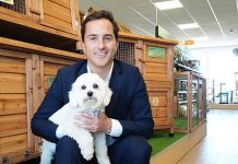 宠物连锁老板在4百万豪宅放烟花,吓死了邻居家的马!全村怒了!