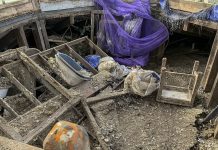 英国美丽海峡边一套房只卖4万5?里面堆了两尺厚的鸽粪,谁敢买下?
