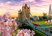 疫情肆虐,会怎么影响英国的房市?现在是下手买房的好时机吗?