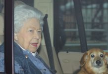 央行紧急降息, 英国2万军队高度戒备! 首相: 伦敦不会彻底封城!然而…