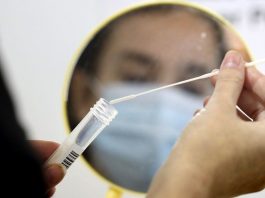 _120242398_testpa.jpg