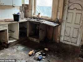 这位租了我18年房子的租客,把我的房子住成了猪窝!到处都是垃圾、发臭的食物……