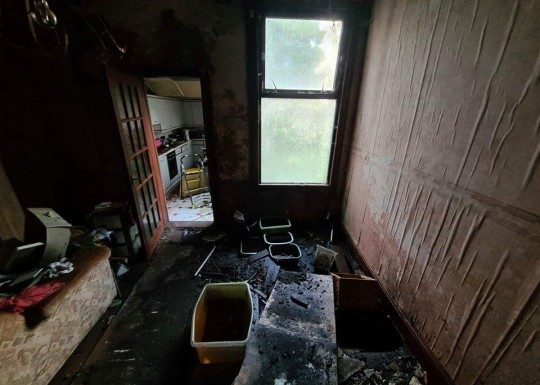 这套2室别墅起拍价仅为1000英镑!网友:脏乱差,这确定能住人吗?