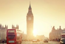 英国版“迪士尼乐园”惨遭延期,压倒骆驼的这根稻草居然是一只小蜘蛛?!