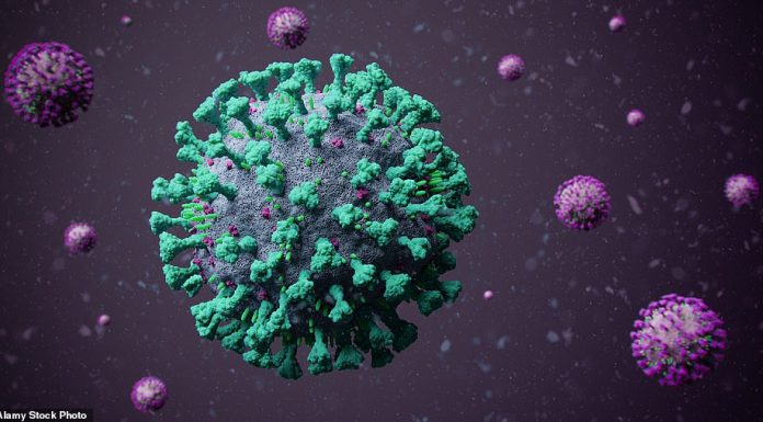 英国确诊5例Omicron新变种感染者,病毒传播速度极强!春季房地产交易量激增,3月上涨18%!