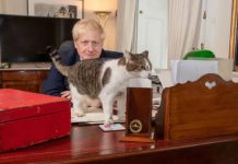 从撒切尔夫人时代到现在,英国首相府唐宁街10号有哪些有趣的变迁?