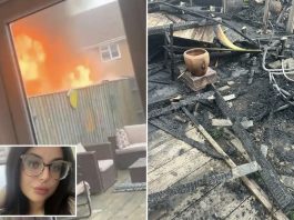 新居还没住热,烧烤成了“烧家”!女子新家花园付之一炬,损失不少!